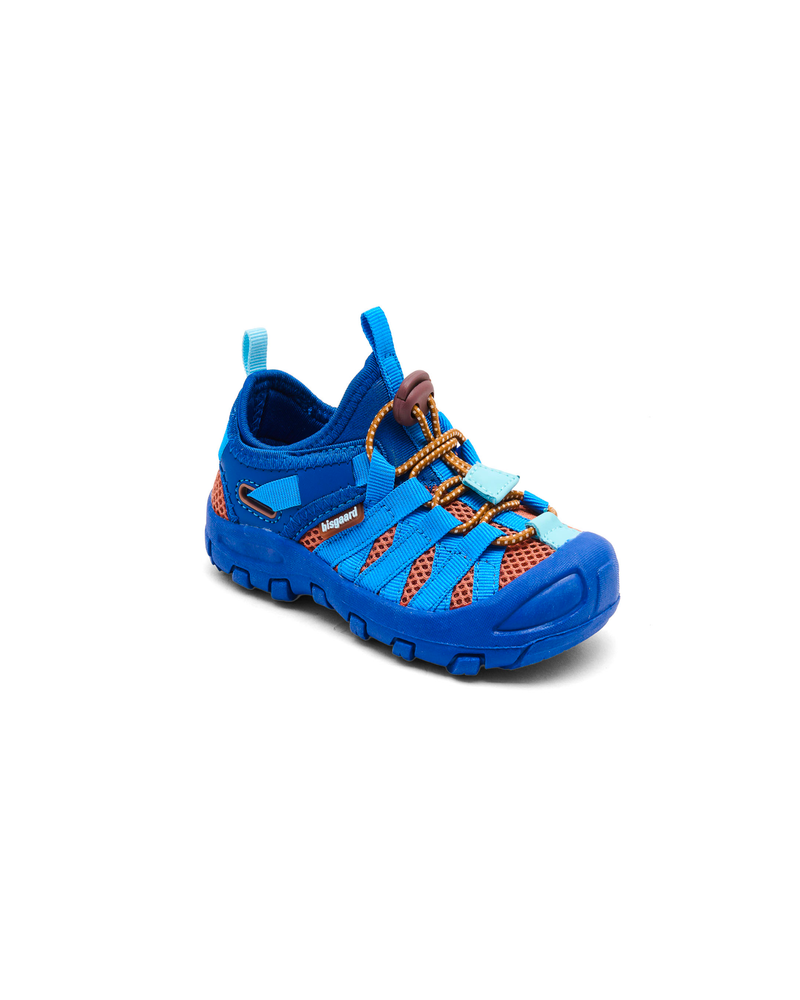 Sneaker - Zion cobalt-zoom-