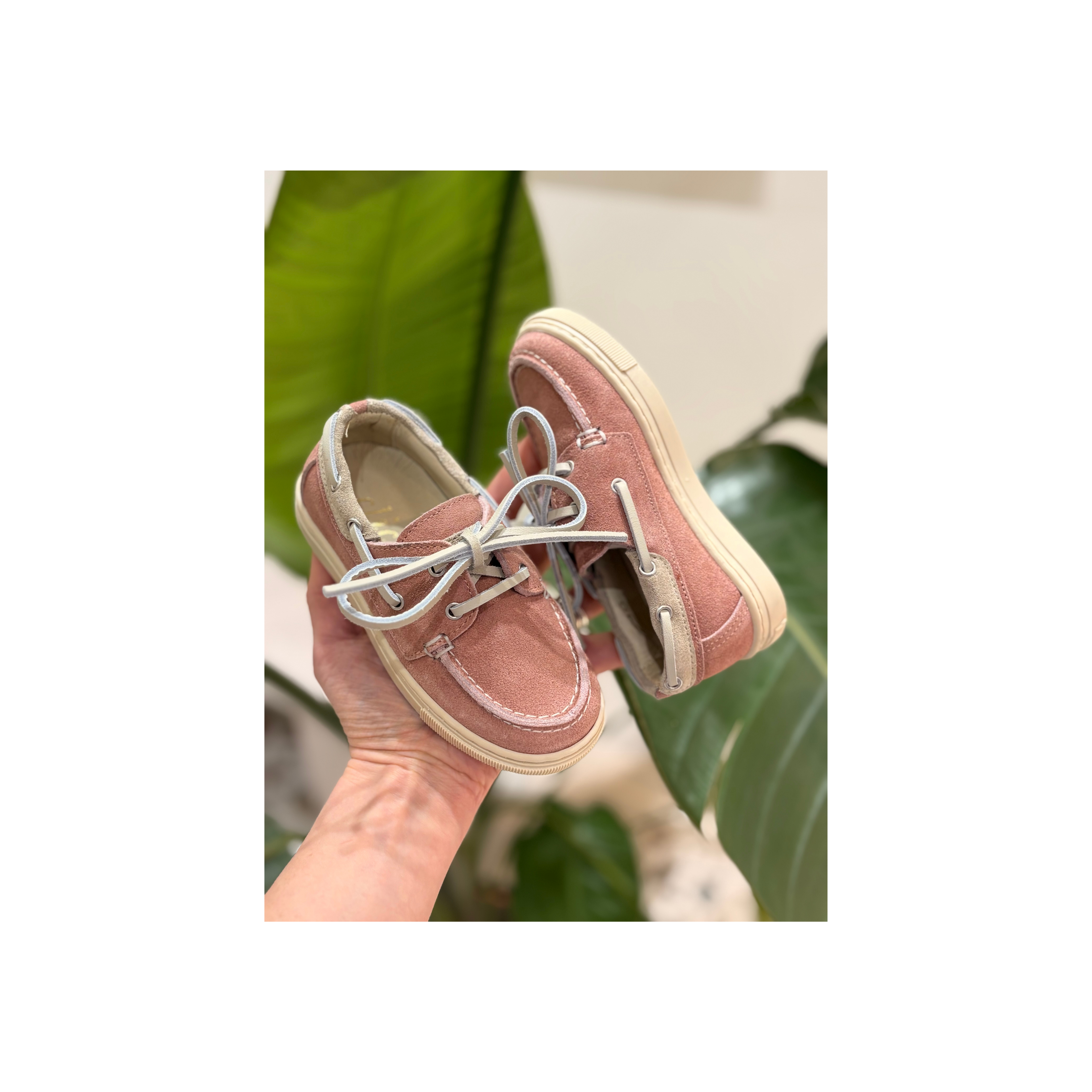 Schoen - CL21411