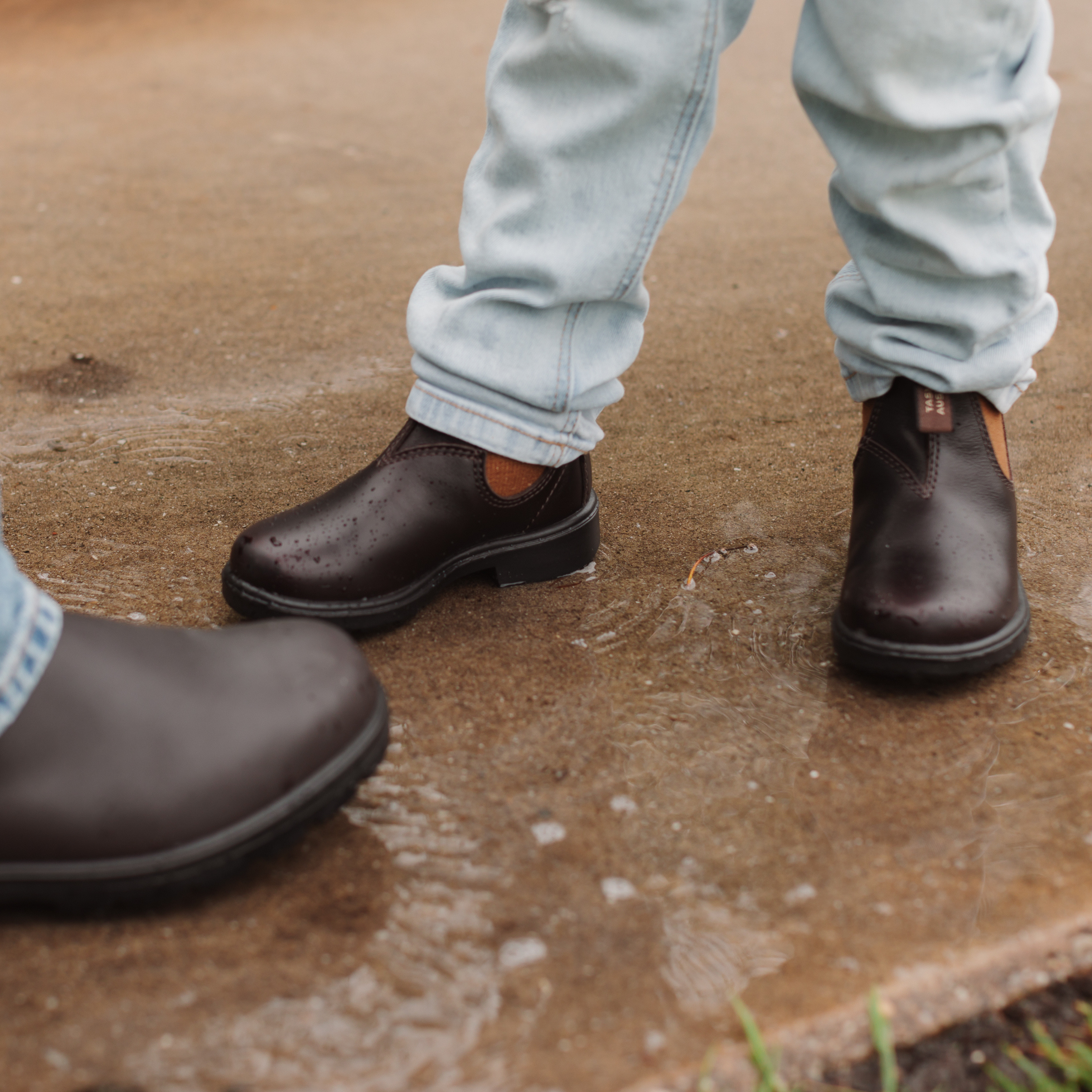 Bottin - Brown Toffee 2591-zoom-2