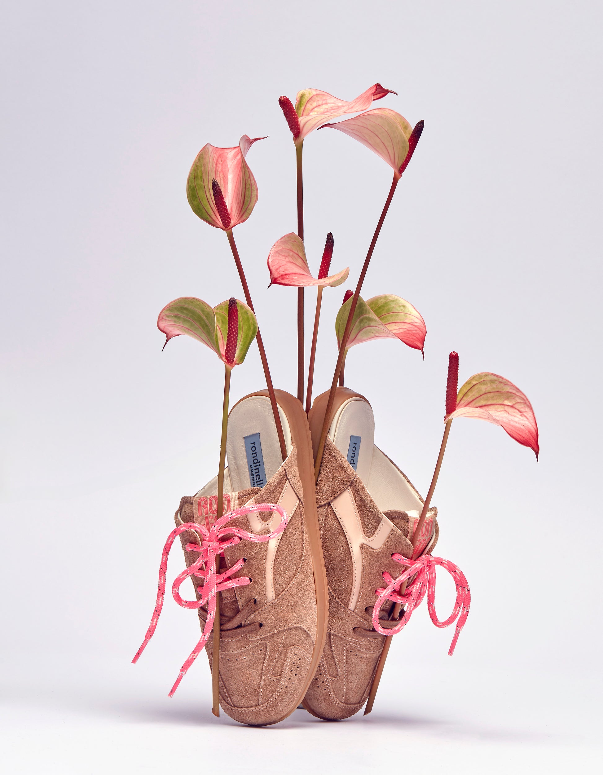 Schoen - 12351 7141 Rosa-2