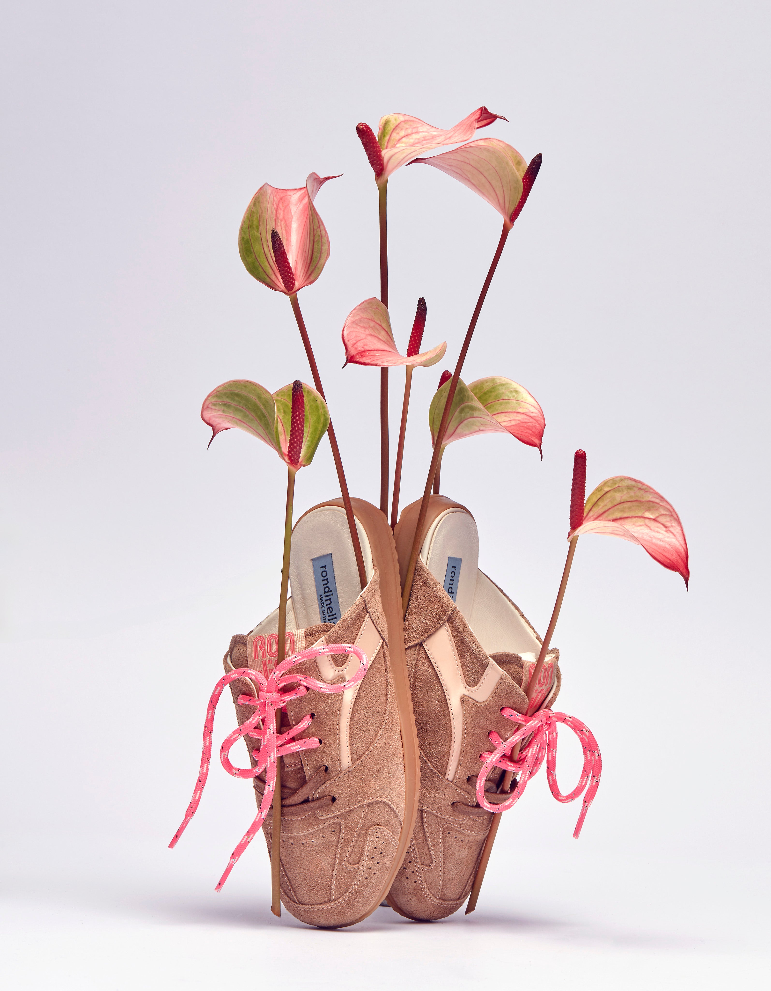 Schoen - 12351 7141 Rosa