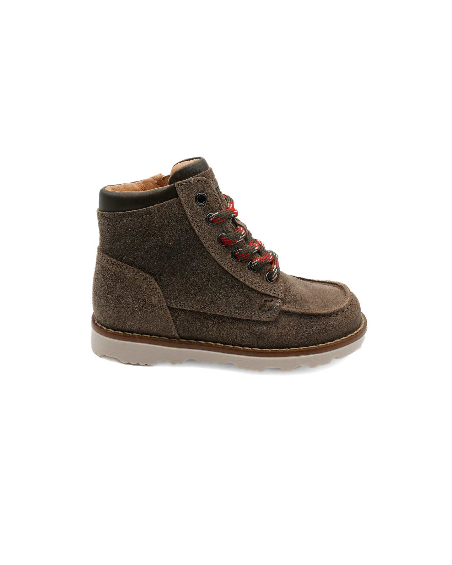Bottin - 5548R176 Saturnia tundra